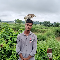 Jihan vai