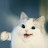 @멸공멸공-l2k