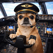 Minnie_Aviation