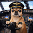 lbfKRM6G_C8-channel-avatar-Minnie_Aviation