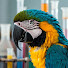 PYgIEm6jPFc-channel-avatar-Conhecer - Music 