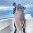 NQdggf_J1V0-channel-avatar-Killer B spearfishing 
