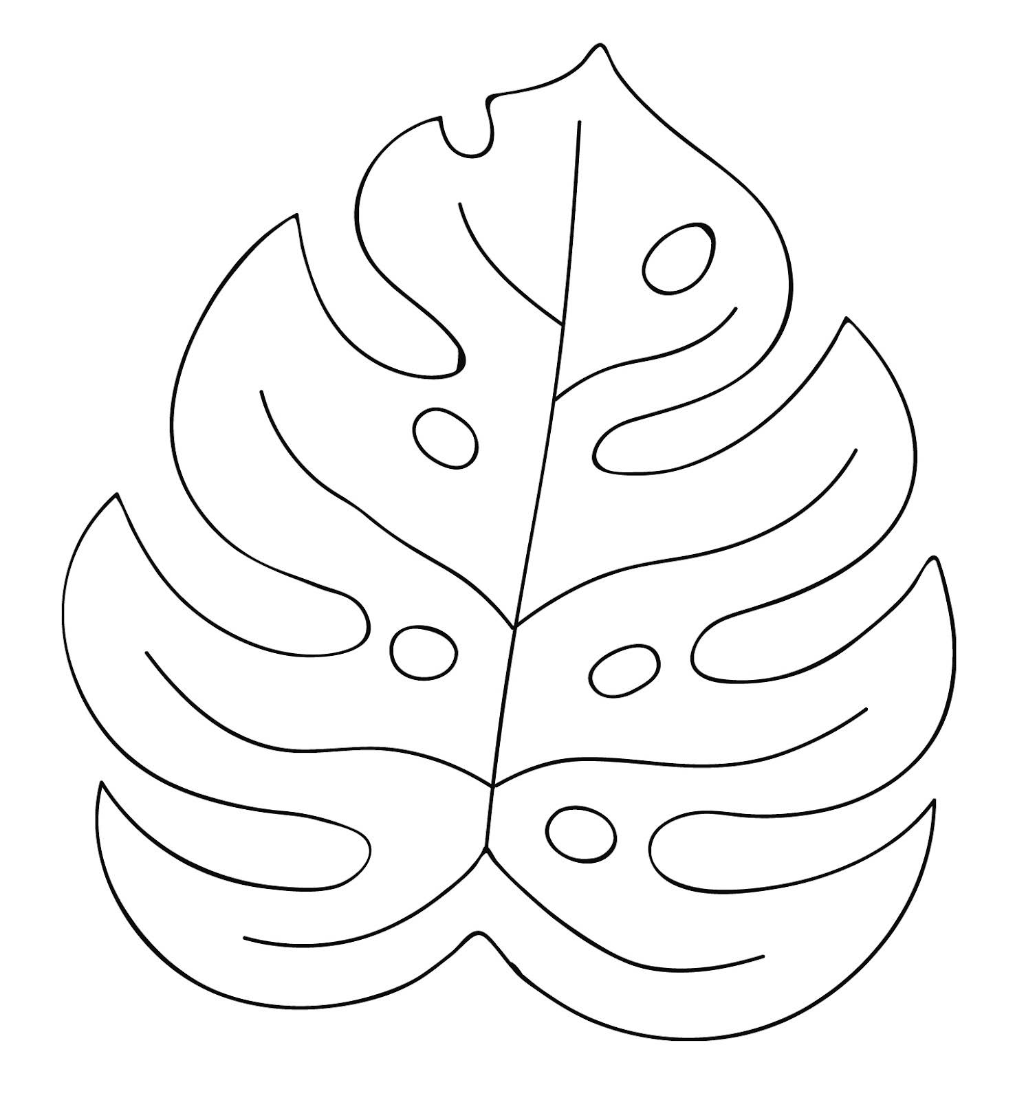 monstera monkey kaufen Monstera Monkey Leaf – Fensterblatt main image 0