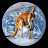 Aussie Google Earth Explorer