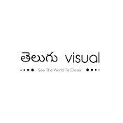 Telugu Visual Facts