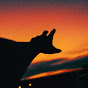 bliss Avatar