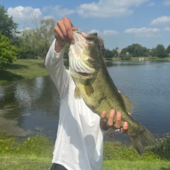 bassinround