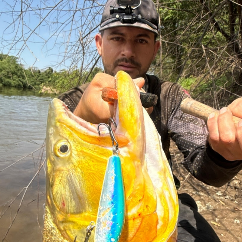 pescadores de arroio