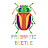 Prismatic Beetle 