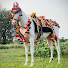 xyWikyTszk4-channel-avatar-Patel Ashw Farm Surat