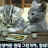 @ksoon-f3x