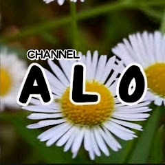 ALO채널TV