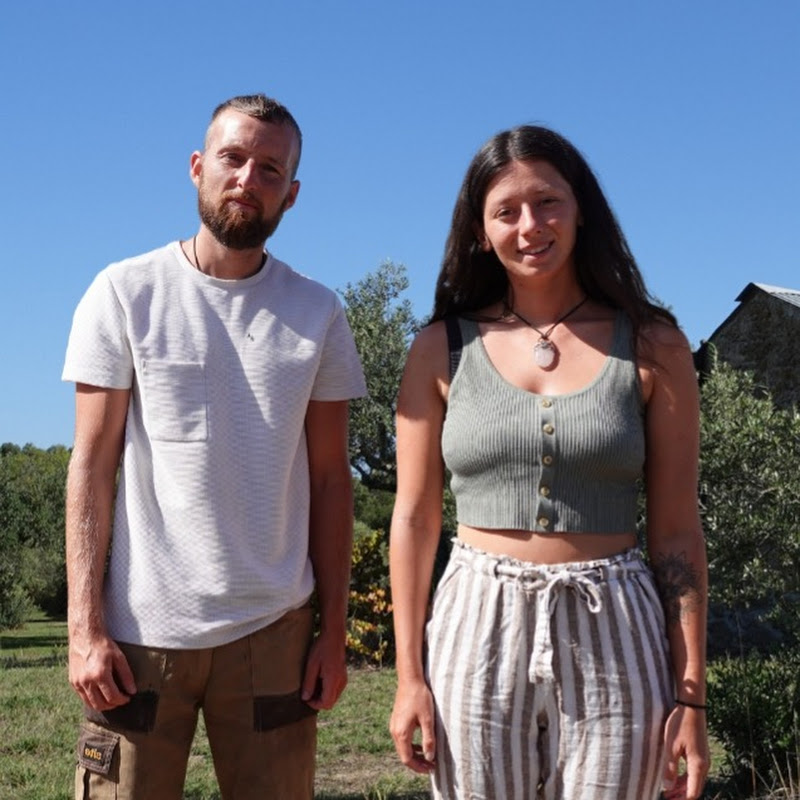 The Origin Homestead