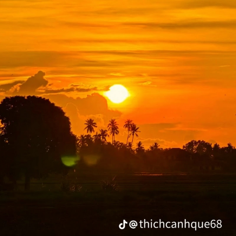khang ơi là khang!