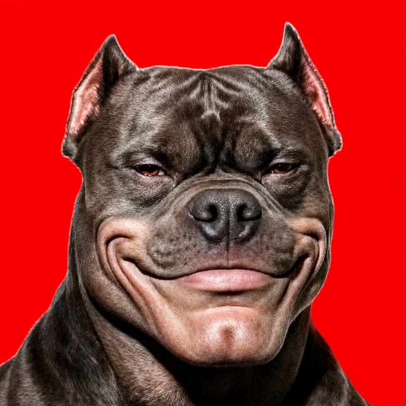 RankTastik