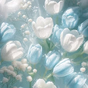 DREAMY AESTHETIC 