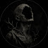 6V6z2ZeHvw4-channel-avatar-Phobix