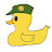 Duck