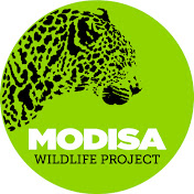 Modisa Wildlife Project