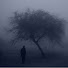 Fb85QtpjK1k-channel-avatar-escape reality.