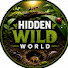 MIWWUgFvgqM-channel-avatar-Hidden Wild World