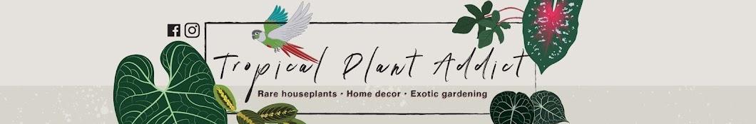 Tropical Plant Addict رمز قناة اليوتيوب