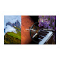 Bamboo Breeze Avatar