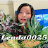 MtVuSosx2Jk-channel-avatar-Lenda0025