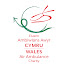 MFjz82BDBtg-channel-avatar-Wales Air Ambulance