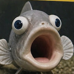 しいた