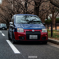 ネコさん。