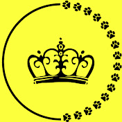 Kingdom of the Paws