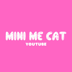 mini me cat