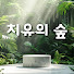 n-VjimgP2CI-channel-avatar-세레나의 치유의 숲