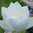 @fm_no.3