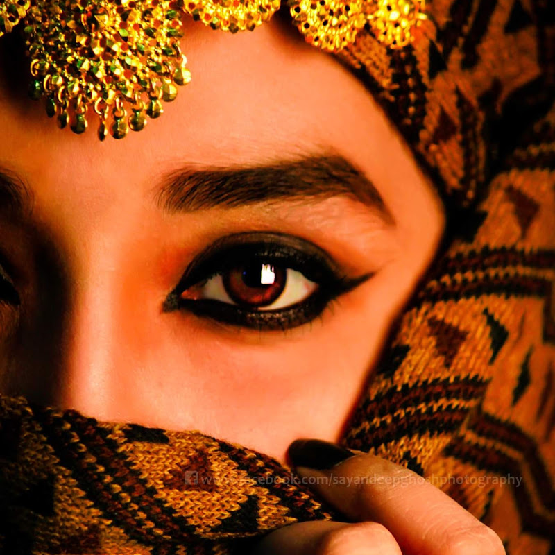Megha Saha