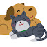 Nq05jl2Bqfk-channel-avatar-O