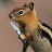@sGTI94 Avatar
