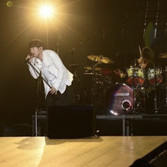 ミスチルノジカン