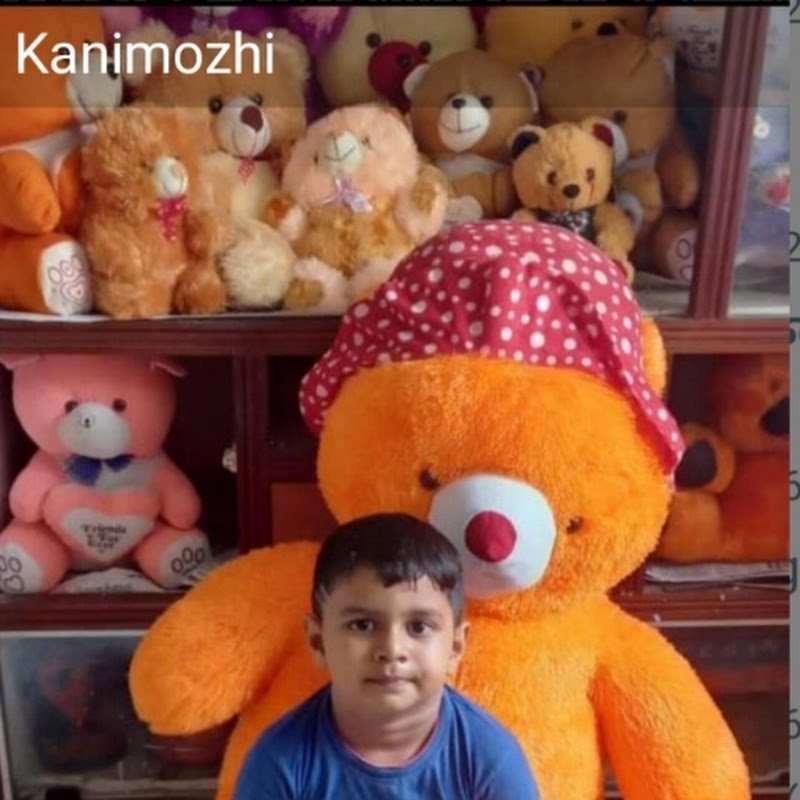 Harsha  kitten