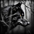 7e7BiWNc6mk-channel-avatar-In The Woods