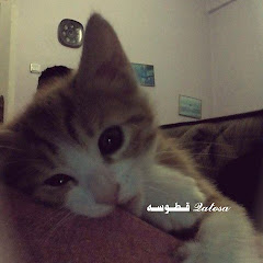 
 𝓠𝓪𝓽𝓸𝓼𝓪 قــطــوسة