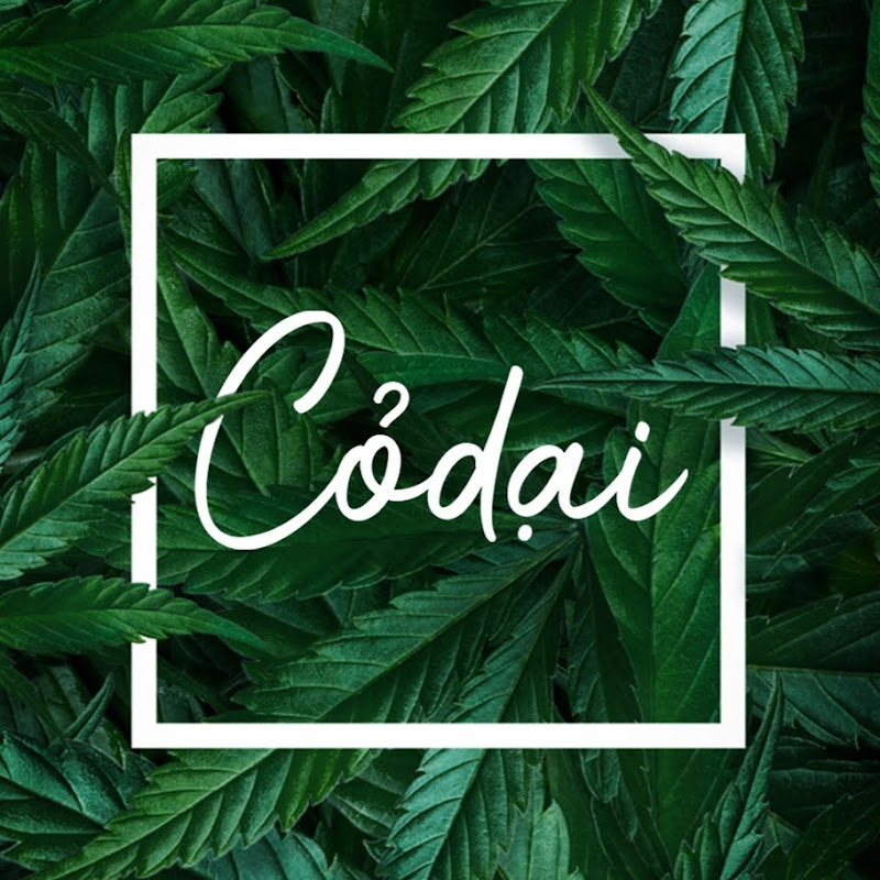 Cỏ dại - Nhạc trung channel