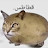 @قطاطس_عب