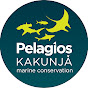Pelagios Kakunja YouTube Profile Photo