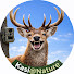 Jlo3D4-LTYk-channel-avatar-Kasi@Nature