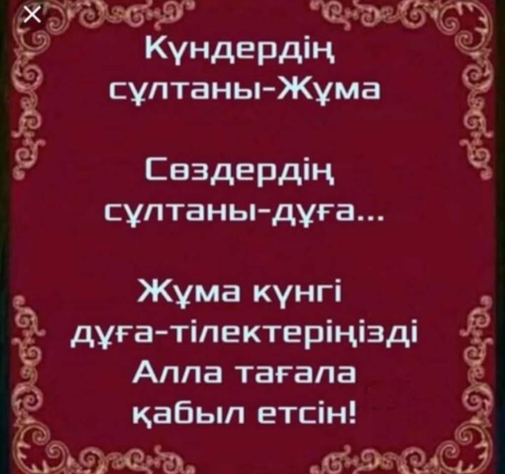 Мен құрбымның мысығын жаладым