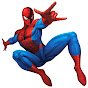 Pro Spider logo