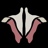 Avatar del canal