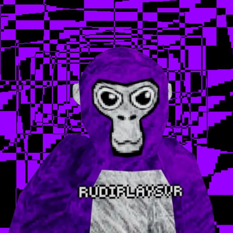 Hire rudi_plays_vr — VR Gaming YouTube creator for sponsorships